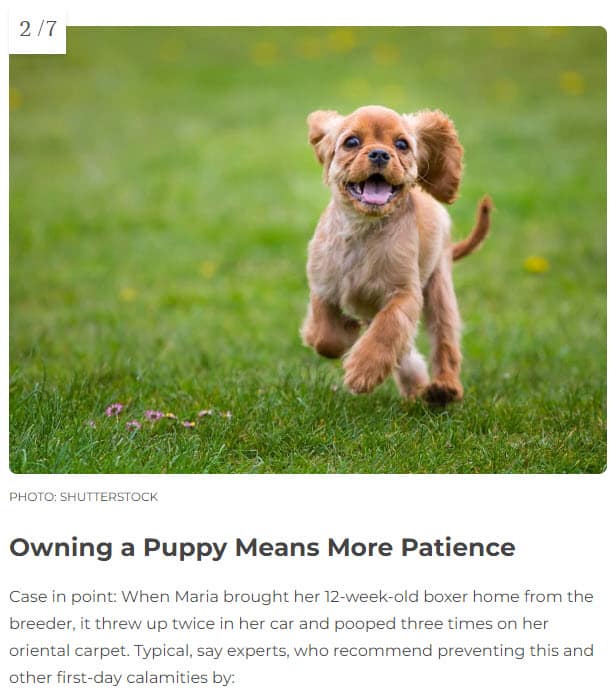 Fluff Stock Images Fluff Stock Images