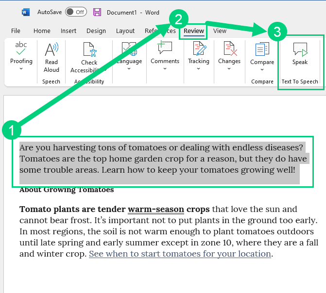 Word Text To Speech Word Text To Speech