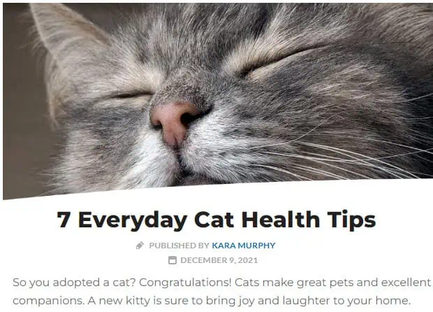 Pet Blog Pet Care Tips Post Example
