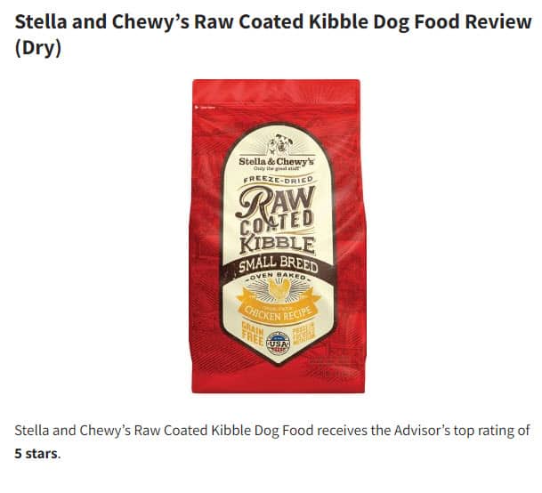 Pet Blog Product Reviews Post Example