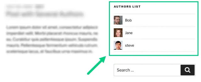Authors List Widget